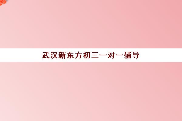 武汉新东方初三一对一辅导 6步教学法助力中考冲刺