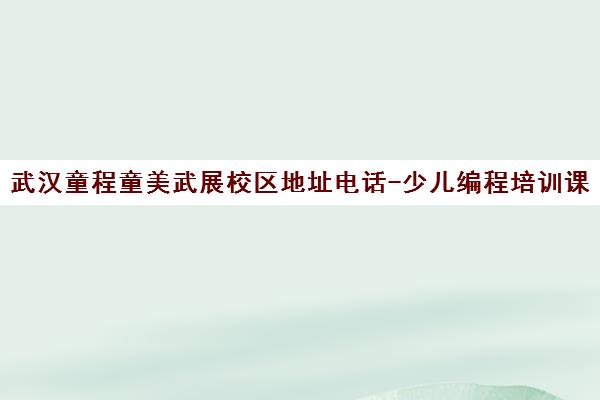 武汉童程童美武展校区地址电话-少儿编程培训课程详情
