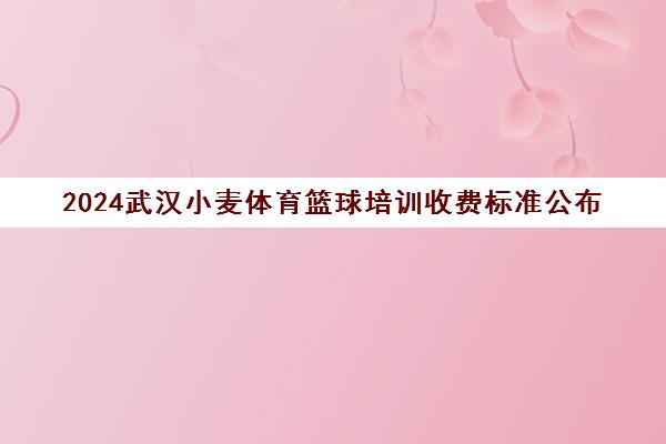2024武汉小麦体育篮球培训收费标准公布 学费价格一览