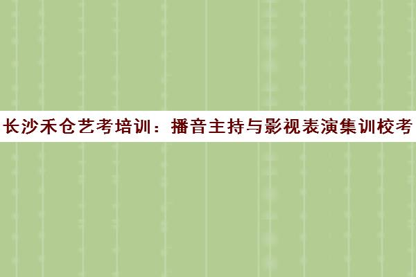 长沙禾仓艺考培训 播音主持与影视表演集训校考班