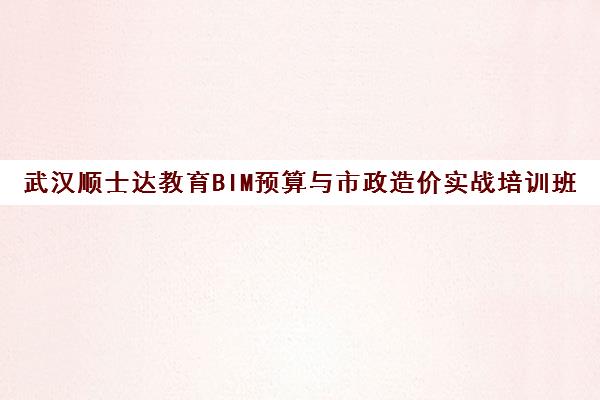 武汉顺士达教育BIM预算与市政造价实战培训班课程汇总