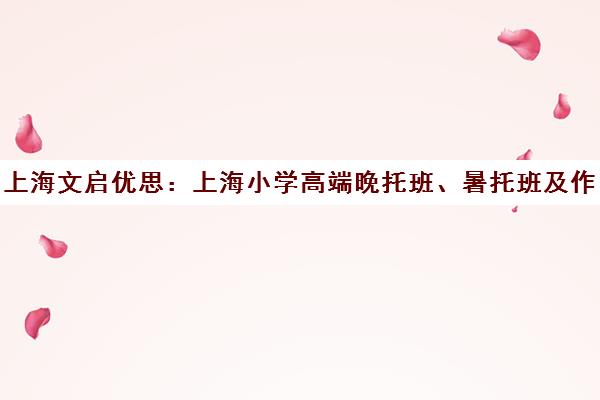 上海文启优思 上海小学高端晚托班、暑托班及作业辅导服务