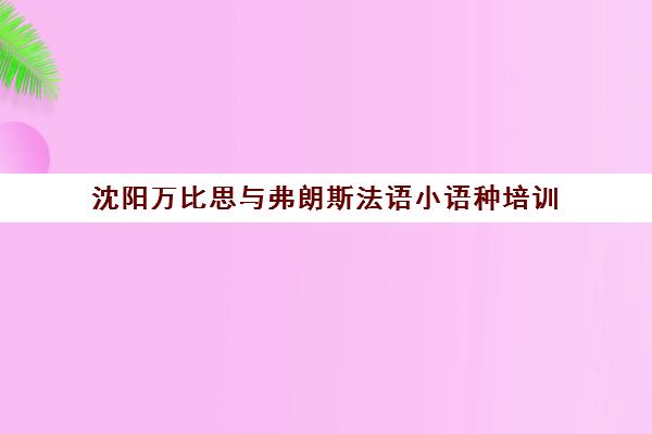 沈阳万比思与弗朗斯法语小语种培训 沈阳万比思与弗朗斯法语小语种培训