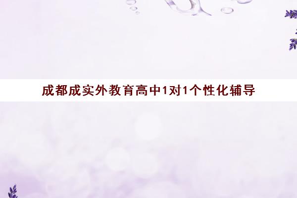 成都成实外教育高中1对1个性化辅导 小初高全科培优