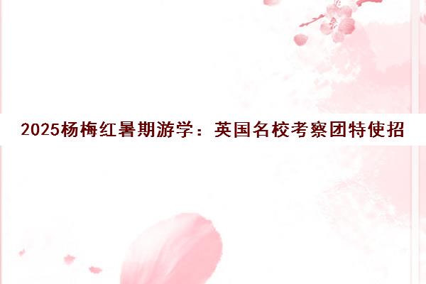 2025杨梅红暑期游学 英国名校考察团特使招募启动