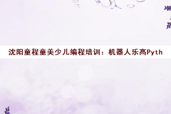 沈阳童程童美少儿编程培训 机器人乐高Python信息学奥赛课程