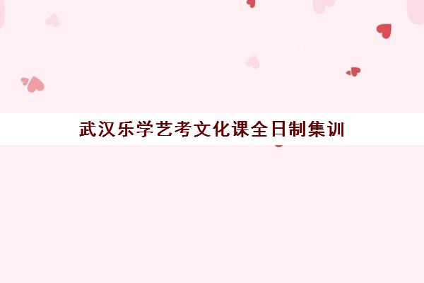 武汉乐学艺考文化课全日制集训 封闭管理助艺术生冲刺名校