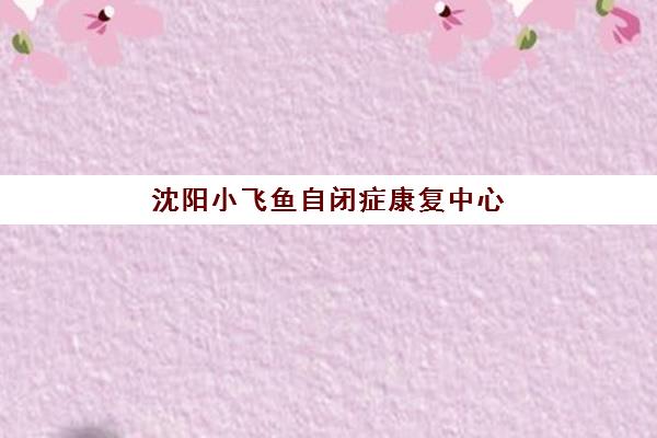 沈阳小飞鱼自闭症康复中心 – 专业师资与综合康复服务