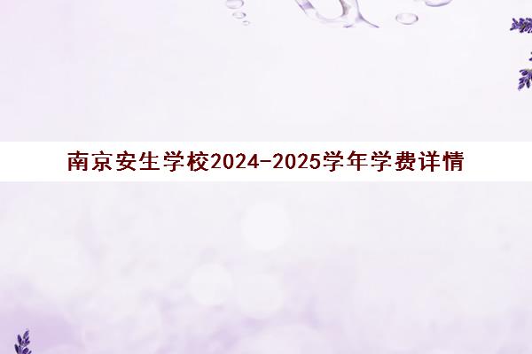 南京安生学校2024-2025学年学费详情