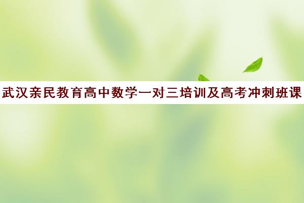 武汉亲民教育高中数学一对三培训及高考冲刺班课程推荐 武汉亲民教育高中数学一对三培训及高考冲刺班课程推荐