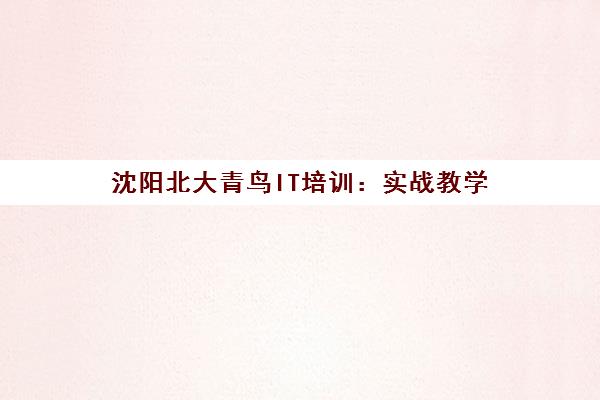沈阳北大青鸟IT培训 实战教学 助你高薪就业