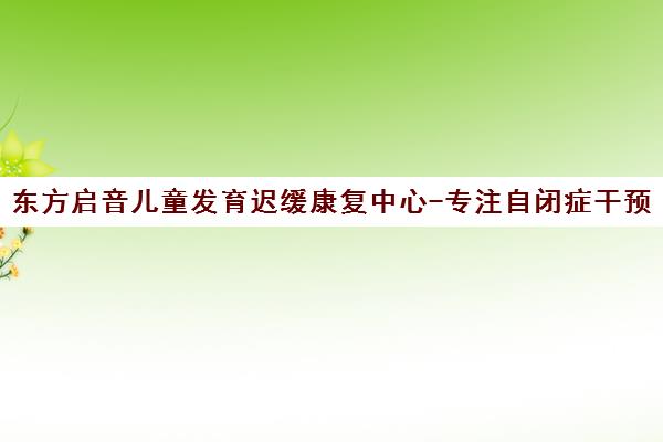 东方启音儿童发育迟缓康复中心-专注自闭症干预与个性化言语治疗