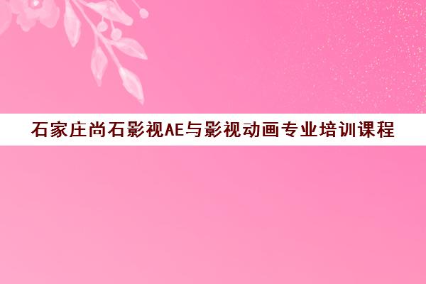 石家庄尚石影视AE与影视动画专业培训课程