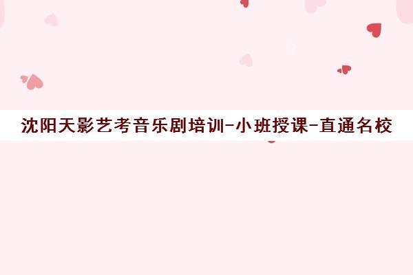 沈阳天影艺考音乐剧培训-小班授课-直通名校