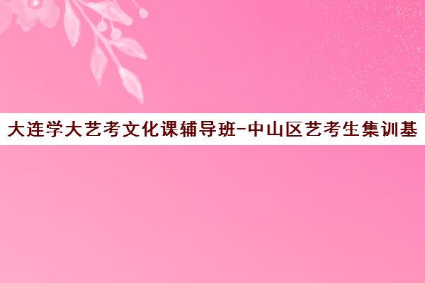 大连学大艺考文化课辅导班-中山区艺考生集训基地