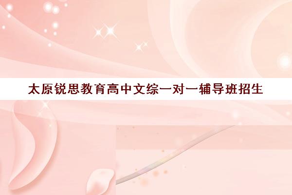 太原锐思教育高中文综一对一辅导班招生