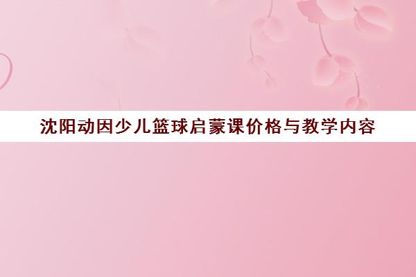 沈阳动因少儿篮球启蒙课价格与教学内容