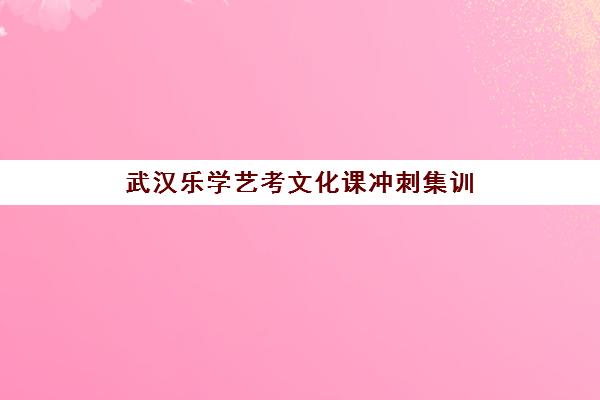 武汉乐学艺考文化课冲刺集训，助艺术生圆梦名校