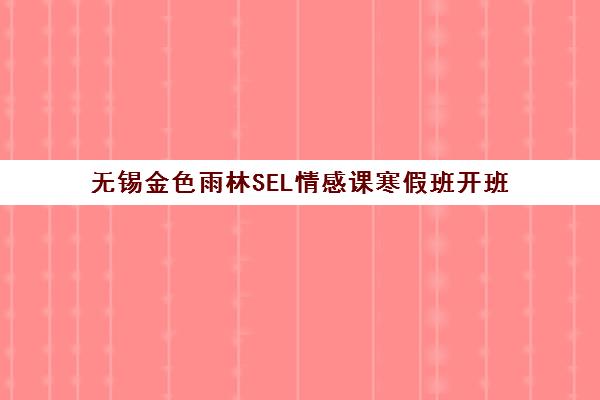 无锡金色雨林SEL情感课寒假班开班 助力3-14岁儿童感统训练 无锡金色雨林SEL情感课寒假班开班 助力3-14岁儿童感统训练
