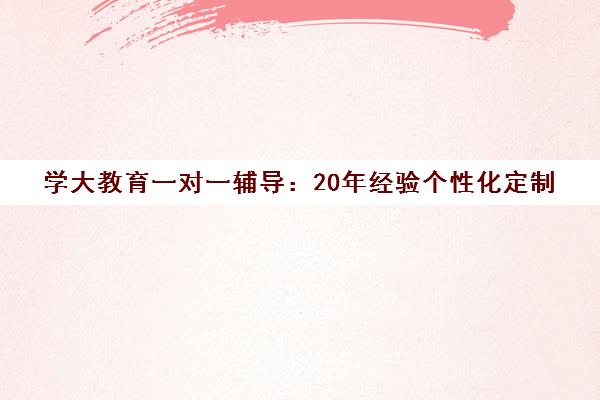 学大教育一对一辅导 20年经验个性化定制 6对1全程服务