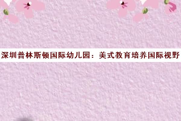 深圳普林斯顿国际幼儿园 美式教育培养国际视野精英人才