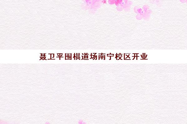 聂卫平围棋道场南宁校区开业 助力青少年启智成长