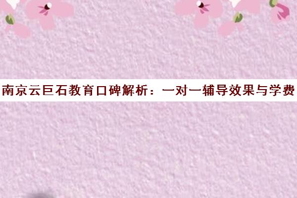 南京云巨石教育口碑解析 一对一辅导效果与学费价格评价