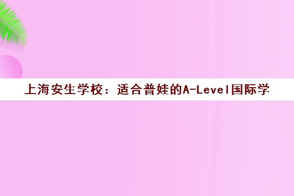 上海安生学校 适合普娃的A-Level国际学校 升学表现亮眼