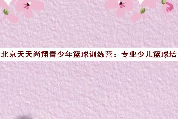 北京天天尚翔青少年篮球训练营 专业少儿篮球培训课程报名