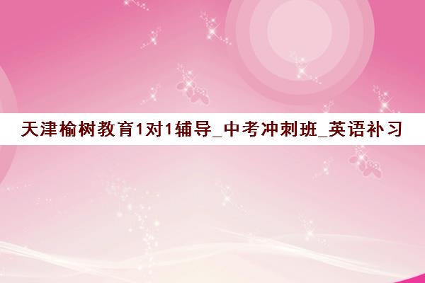 天津榆树教育1对1辅导_中考冲刺班_英语补习课程