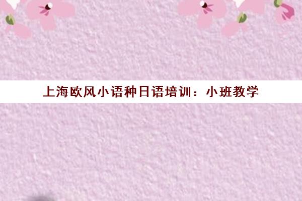 上海欧风小语种日语培训 小班教学 多元课程 高效学日语