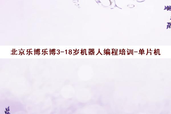 北京乐博乐博3-18岁机器人编程培训-单片机/积木课程竞赛班