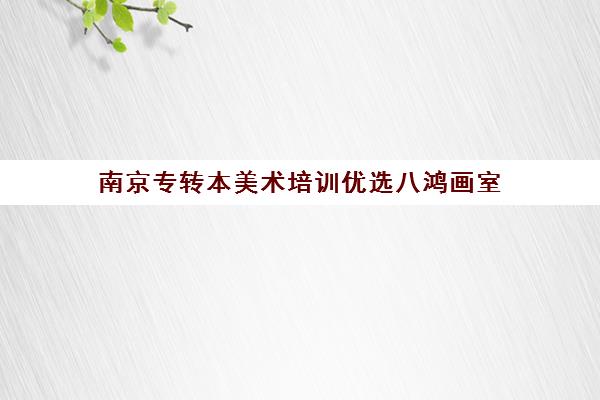 南京专转本美术培训优选八鸿画室 专业辅导助力学历提升 南京专转本美术培训优选八鸿画室 专业辅导助力学历提升