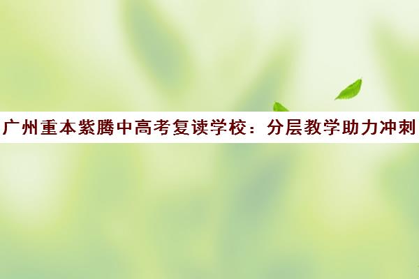 广州重本紫腾中高考复读学校 分层教学助力冲刺重点名校