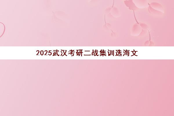 2025武汉考研二战集训选海文 高效备考冲刺名校 2025武汉考研二战集训选海文 高效备考冲刺名校