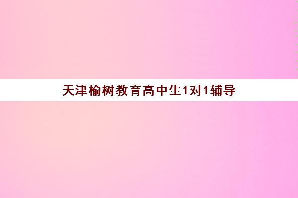 天津榆树教育高中生1对1辅导 个性化定制快速提升成绩