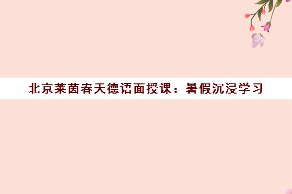 北京莱茵春天德语面授课 暑假沉浸学习 高效提升德语能力