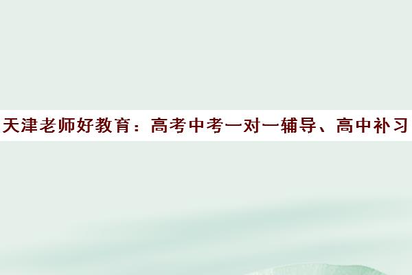 天津老师好教育 高考中考一对一辅导、高中补习专业定制