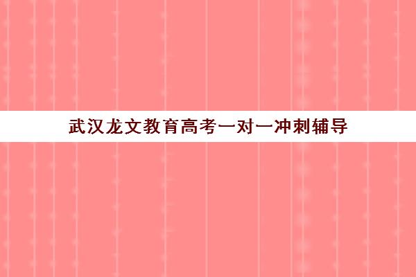 武汉龙文教育高考一对一冲刺辅导 专注艺考文化课 武汉龙文教育高考一对一冲刺辅导 专注艺考文化课