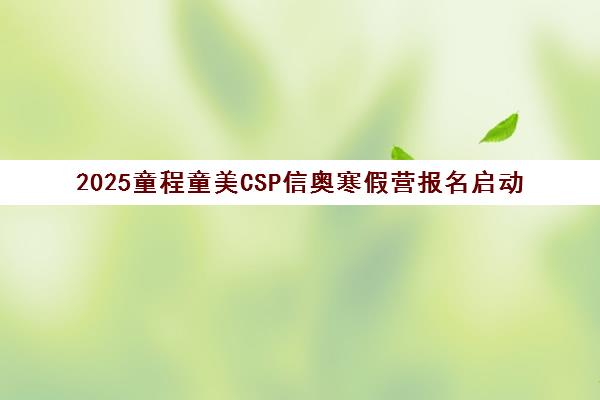 2025童程童美CSP信奥寒假营报名启动 NOI金牌教练亲授