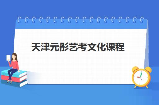 天津元彤艺考文化课程