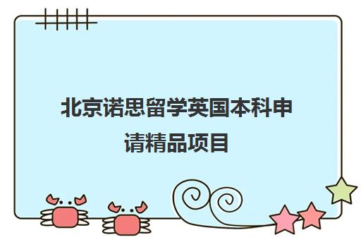 北京诺思留学英国本科申请精品项目 北京诺思留学英国本科申请精品项目