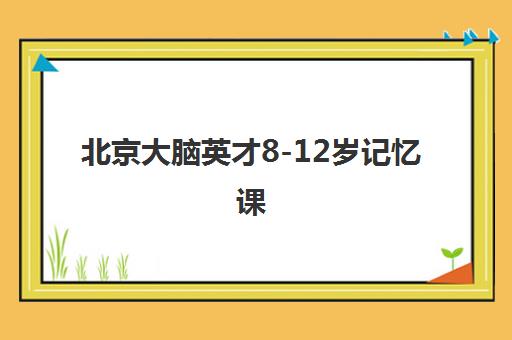 北京大脑英才8-12岁记忆课