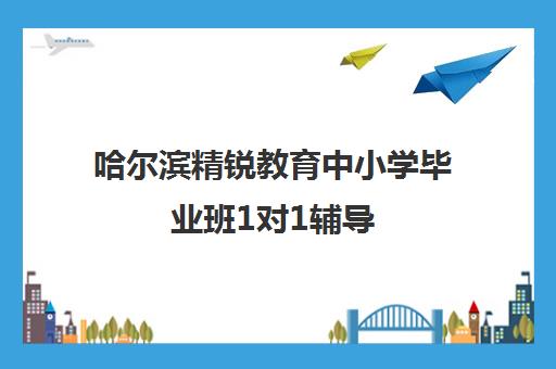 哈尔滨精锐教育中小学毕业班1对1辅导