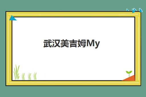 武汉美吉姆My Art早教