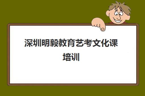 深圳明毅教育艺考文化课培训 针对性教学快速提分