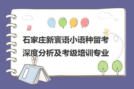石家庄新寰语小语种留考深度分析及考级培训专业机构