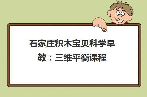 石家庄积木宝贝科学早教 三维平衡课程 殿堂式环境