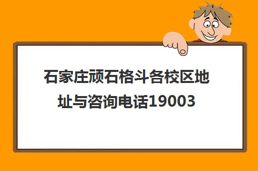 石家庄顽石格斗各校区地址与咨询电话19003742810汇总
