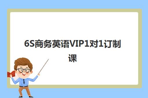 6S商务英语VIP1对1订制课 6S商务英语VIP1对1订制课